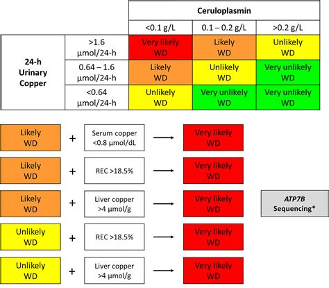 ceruloplasmin blood test bottle|serum copper in wilsons disease.